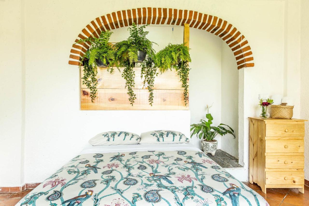 Colibri Turquesa Hotell Tepoztlán Eksteriør bilde